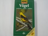 Imagen del vendedor de Vgel : bestimmen - erleben - schtzen. ADAC-Naturfhrer Ein ADAC-Buch, 200 Vogelarten auf 400 Farbfotos a la venta por Antiquariat  Udo Schwrer