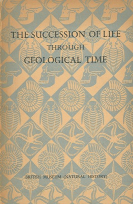 The succession of life through geological time.