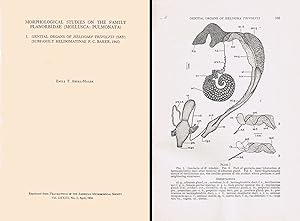 Immagine del venditore per Morphological studies on the family Planorbidae (Moll.: Pulmonata) I. Genital organs of Helisoma trivolvis (Subfamily Helisomatinae, F.C. Baker, 1945). In 8vo, original wrappers, pp. . 22 + 4 pls. Offprint from Trans, Amer. Microsc. Soc., 73(2) venduto da NATURAMA