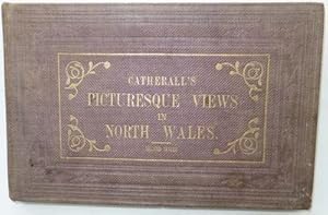 Seller image for Views in North Wales. Second Series. for sale by Madoc Books (ABA-ILAB)