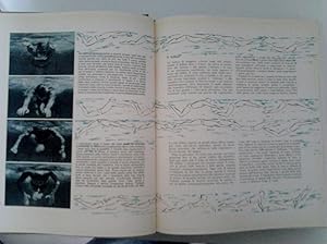 "PANORAMA A - Z Enciclopedia monografica della Ricreazione - IL GIOCO E GLI SPORT"