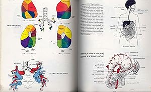 Image du vendeur pour Mosby's medical & nursing dictionary : illustrated ; thirty-two page full-color anatomy atlas mis en vente par Joseph Valles - Books