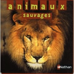 Animaux sauvages