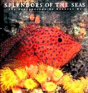 Bild des Verkufers fr Splendors of the Seas: The Photographs of Norbert Wu zum Verkauf von LEFT COAST BOOKS