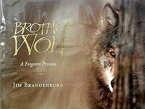 Brother Wolf: A Forgotten Promise