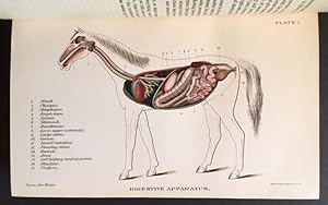 Bild des Verkufers fr Special Report on Diseases of the Horse zum Verkauf von APPLEDORE BOOKS, ABAA