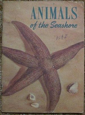 Animals of the Seashore