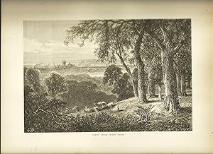 Seller image for View From West Park, Illustration for sale by Legacy Books II
