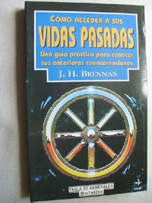 CÓMO ACCEDER A SUS VIDAS PASADAS