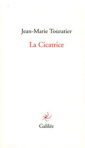 Image du vendeur pour La Cicatrice mis en vente par JLG_livres anciens et modernes