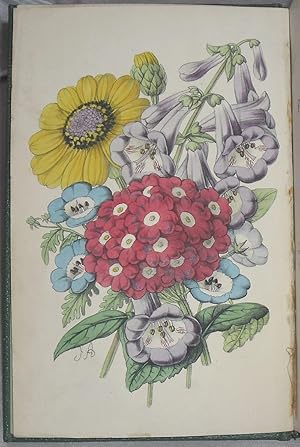 The Handbook of the Flower Garden and Greenhouse.