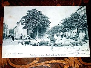Carte Postale Ancienne - DRAGUIGNAN - 1452 - Boulevard des Marronniers.