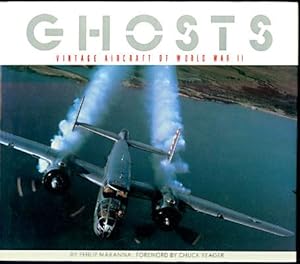 Bild des Verkufers fr Ghosts: Vintage Aircraft of World War II zum Verkauf von Inga's Original Choices