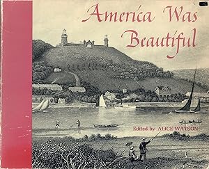 Seller image for America Was Beautiful for sale by Bearly Read Books