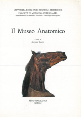 Il Museo Anatomico.