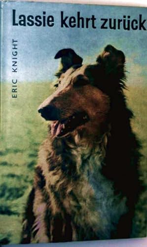 Lassie kehrt zurück - Die Geschichte eines treuen Hundes