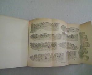 Bild des Verkufers fr Experimentelle Untersuchungen ber den Druck in der Augenkammer, in: Archiv fr Ophthalmologie. Neunundzwanzigster Band. Abtheilung I + II. zum Verkauf von Antiquariat Bookfarm