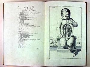 Tabulae anatomicae & De formato foetu tabulae.