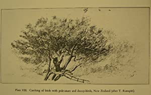 Bild des Verkufers fr Hunting and trapping methods in Australia and Oceania. zum Verkauf von Gert Jan Bestebreurtje Rare Books (ILAB)