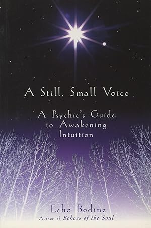 Seller image for A Still, Small Voice: A Psychic's Guide to Awakening Intuition for sale by Kenneth A. Himber