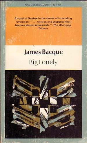 Imagen del vendedor de Big Lonely a la venta por Nessa Books
