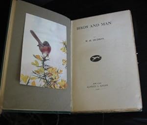 Birds and Man.