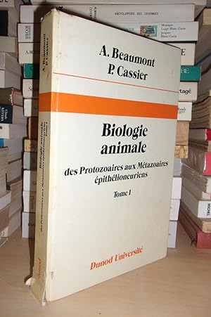 Seller image for BIOLOGIE ANIMALE - Tome 1 : Des Protozoaires Aux Mtazoaires Epithneuriens. Prface De Maurice Durchon for sale by Planet's books