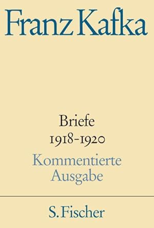 Briefe 4. 1918 - 1920