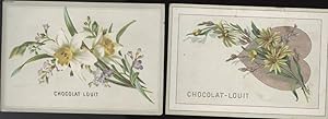 CHROMOLITHOGRAPHIE - FLEURS