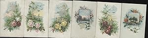 CHROMOLITHOGRAPHIES - FLEURS OISEAUX