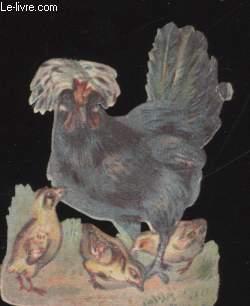Seller image for CHROMOLITHOGRAPHIE - POULE for sale by Le-Livre