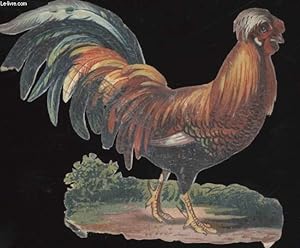 Seller image for CHROMOLITHOGRAPHIE - COQ for sale by Le-Livre