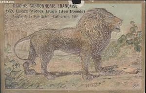 Seller image for CHROMOLITHOGRAPHIE - LION for sale by Le-Livre