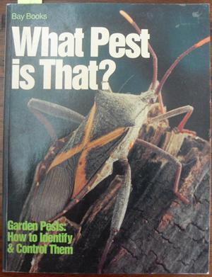 What Pest is That? - Garden Pests: How to Identify & Control Them