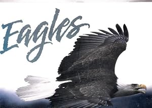 Imagen del vendedor de Eagles: 1996 NorthWord Nature Calendar a la venta por Shamrock Books