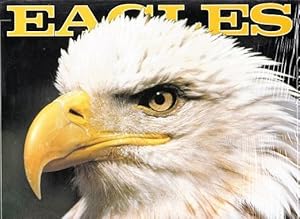 Seller image for Eagles: Freedom's Wings A 2000 Calendar for sale by Shamrock Books