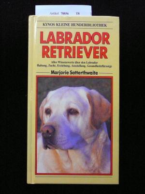 Labrador Rertriever