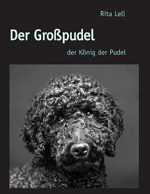 Imagen del vendedor de Der Gro�pudel a la venta por BuchWeltWeit Ludwig Meier e.K.