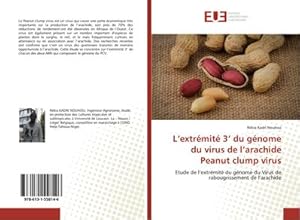 Seller image for L�extr�mit� 3� du g�nome du virus de l�arachide Peanut clump virus : Etude de l�extr�mit� du g�nome du Virus de rabougrissement de l�arachide for sale by AHA-BUCH GmbH