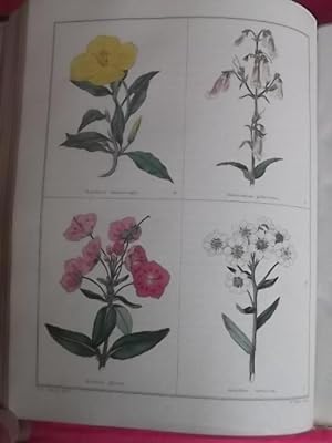 THE BOTANIC GARDEN Consisting of Highly Finished Representations of Hardy Ornamental Flowering Pl...