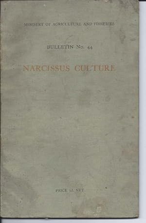 NARCISSUS CULTURE : Bulletin No. 44