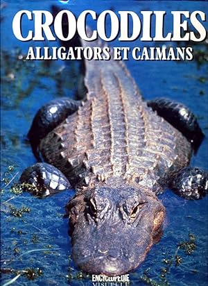 Crocodiles alligators et caïmans