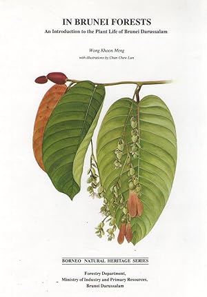 Seller image for In Brunei Forests - An Introduction to the Plant Life of Brunei Darussalam for sale by Plane Tree Books