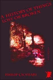 Seller image for History of Things Lost or Broken, A for sale by Monroe Street Books
