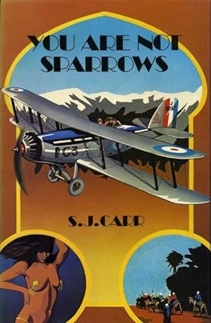 You Are Not Sparrows : A Light-Hearted Account of Flying Between the Wars in the RAF
