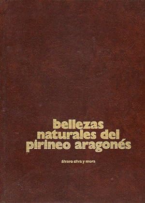 Image du vendeur pour BELLEZAS NATURALES DEL PIRINEO ARAGONS. mis en vente par angeles sancha libros