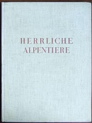 Bild des Verkufers fr Fisch und Fischerei. Hg. von Gottfried Schmid. zum Verkauf von Antiquariat Blschke