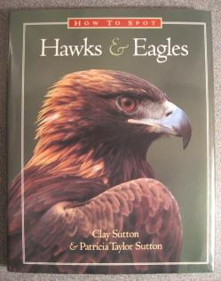 Seller image for How to Spot Hawks & Eagles for sale by Florida Mountain Book Co.