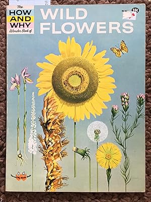 Bild des Verkufers fr The How and Why Wonder Book of Wild Flowers - No. 5031 in Series zum Verkauf von Laura Books