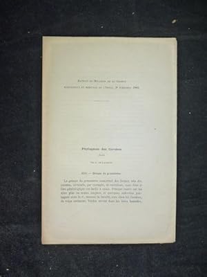 Phylogénie des carabus : XIII - Groupe du granulatus